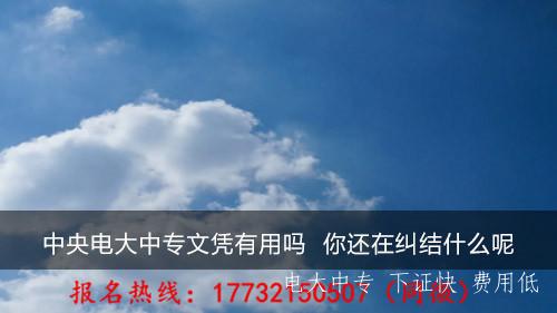 電大中專文憑有用么？
