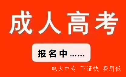 河北成人高考是什么意思？