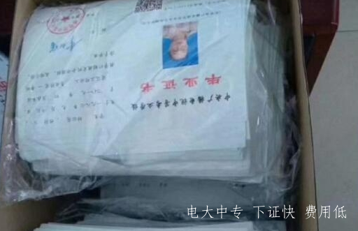 電大成人中專官方報名網站