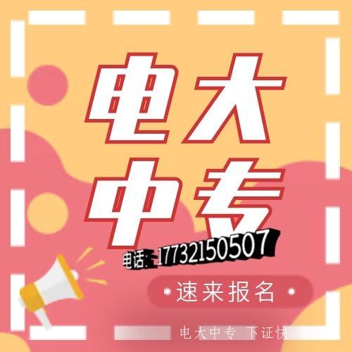 電大中專學信網能查嗎？
