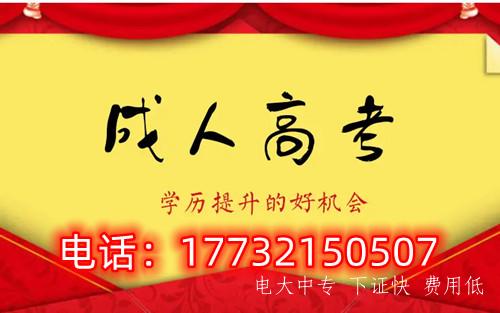 干貨！備考必讀，成考不踩雷！