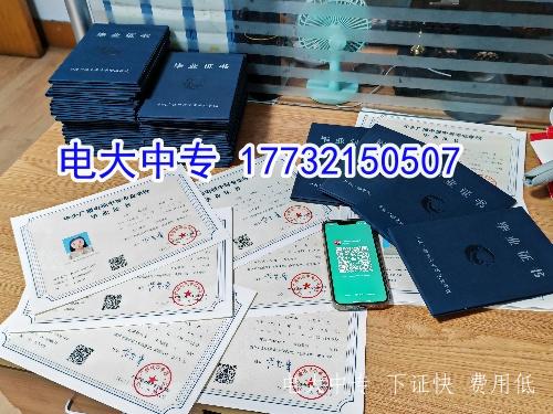 電大中專最受歡迎四大專業